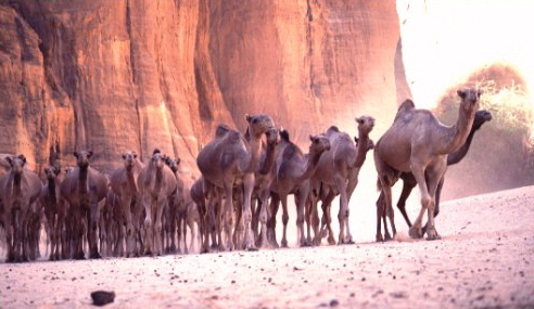 Guelta d'Arche